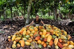 ONLINE: Peru - nejen po stopách Inků (Jana Troupová)