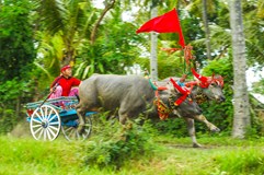 ONLINE: indonésie - Bali a Lombok (Jana Wolfová)