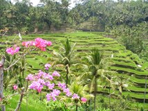 ONLINE: indonésie - Bali a Lombok (Jana Wolfová)