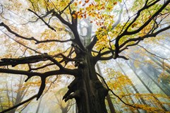 LIVE STREAM: The beauty of Czech landscape (by Martin Rak)