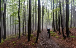 Severní stezka - Českem od západu k východu (Jan Hocek)