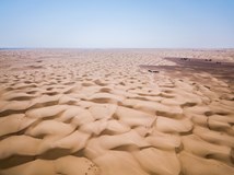 ONLINE PRO DĚTI: Život v poušti