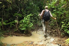 ONLINE PRO DĚTI: Život v džungli