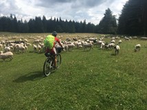 ONLINE: 1000 mil na kole Českou republikou a Slovenskem