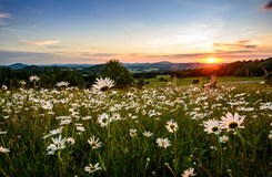 Via Czechia - Severní stezka