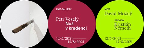 Petr Veselý / David Možný / Kristián Németh