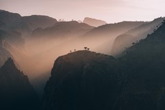 ONLINE: Sokotra - klenot Arabského moře (Aleš Malár)