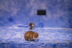 ONLINE: Maroko – pohádka tisíce a jedné noci (J. Kupčáková)