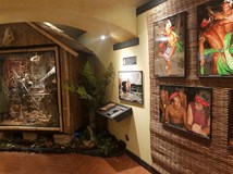 Výstava Tajemná Indonésie