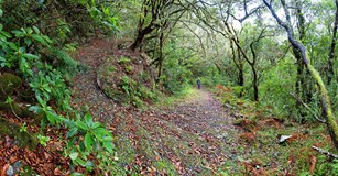 ONLINE: Madeira – ostrov nekonečných možností (J. Troupová)