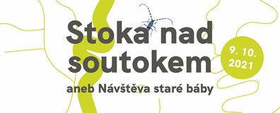 Stoka na soutoku