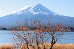 ONLINE: Japonsko v zimě