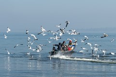 Pavla Bičíková: Tajemná Barma