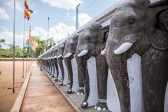 Srí Lanka – ráj na zemi