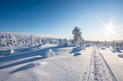 Laponsko - prašanem za polární září