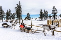 ONLINE: Laponsko - ze dne na den arktickým průvodcem