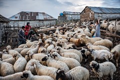 Íránské dobrodružství - Brno - Pavel Svoboda
