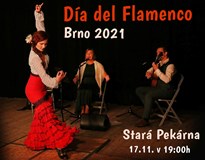 Etno Brno 2021 - Día del Flamenco (CZ/SK/IT)