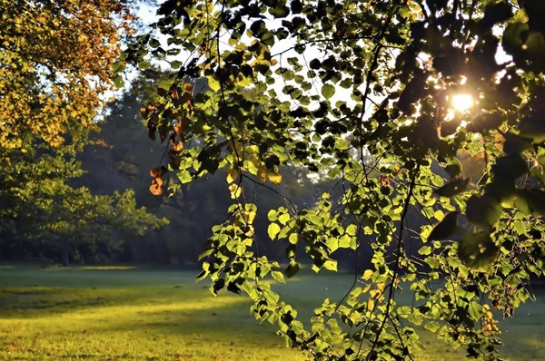 Zámecký park