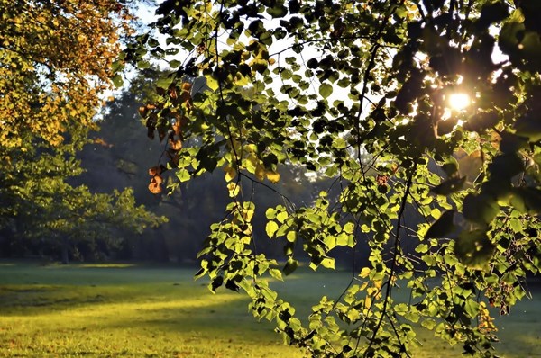 Zámecký park