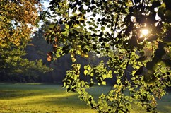 Zámecký park Blansko, Blansko