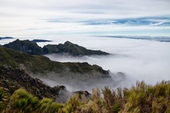 ONLINE: Madeira – ostrov nekonečných možností (J. Troupová)