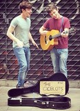 The Ocelots (Irsko)