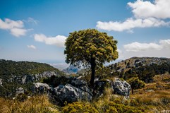 ONLINE: Mallorca - přechod pohoří po GR221