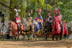 Oživlý hrad Boskovice VI.