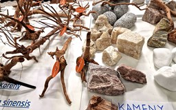 Burza rybiček - Prodejní trhy akvarijních ryb