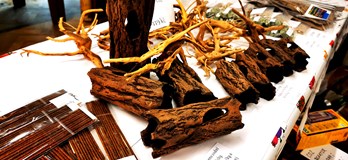 Burza rybiček - Prodejní trhy akvarijních ryb