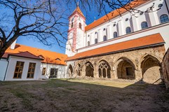 Koncert bez hranic