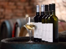 Degustace Vinařství Roman Valenta