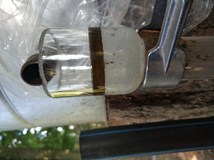 Destilace meduňky v Experimentální zahradě den první