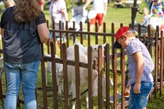 Krajské vinobraní a dožínky na zámku Kačina