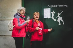 LETNÍ FESTIVAL VÍNA NĚMČIČKY - OTEVŘENÉ SKLEPY