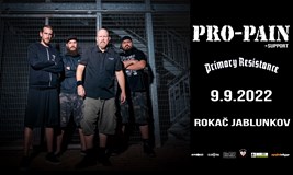 PRO-PAIN + support 