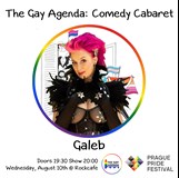 The Gay Agenda: Comedy Cabaret