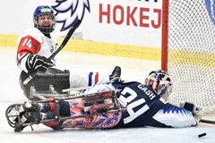 INTERNATIONAL PARA HOCKEY CUP - světový turnaj v parahokeji