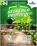 Ukončení léta s RN Project