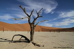 Namibie a Botswana