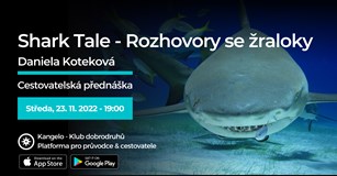 Rozhovory se žraloky (Daniela Koteková)