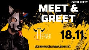 Meet & Greet