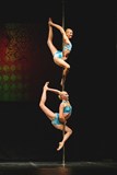 Czech Pole Art 2022