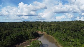 Příběhy z Amazonie / Karolína Draxlerová