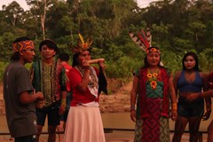 Příběhy z Amazonie