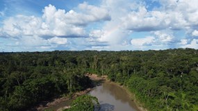Příběhy z Amazonie