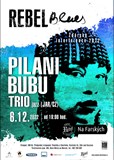 Pilani Bubu Trio (JAR/CZ)