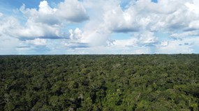 Příběhy z Amazonie - Amazonia STEP IN club