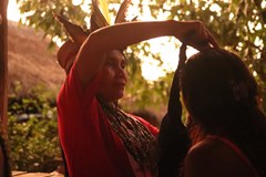 Příběhy z Amazonie - Kopřivnice - Vila Machů